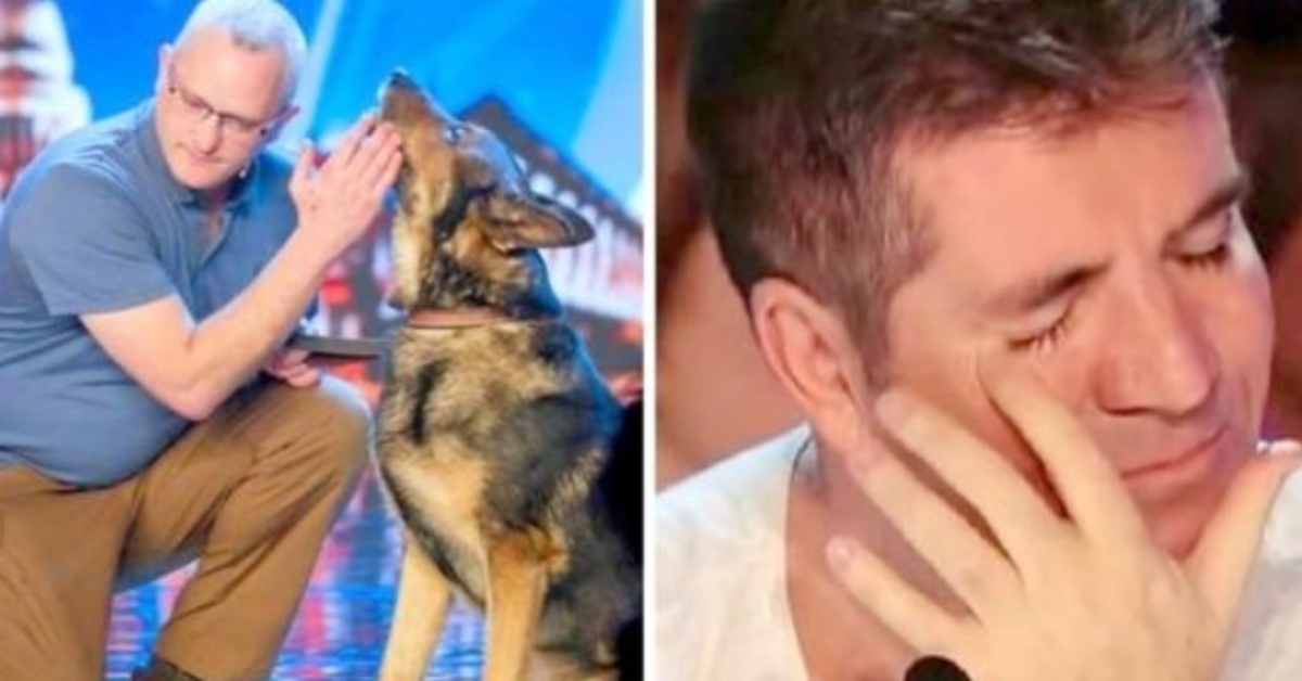 Pies policyjny dźgnięty nożem na służbie, a Simon Cowell walczy ze łzami w BGT